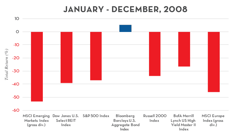 2008 asset class performance