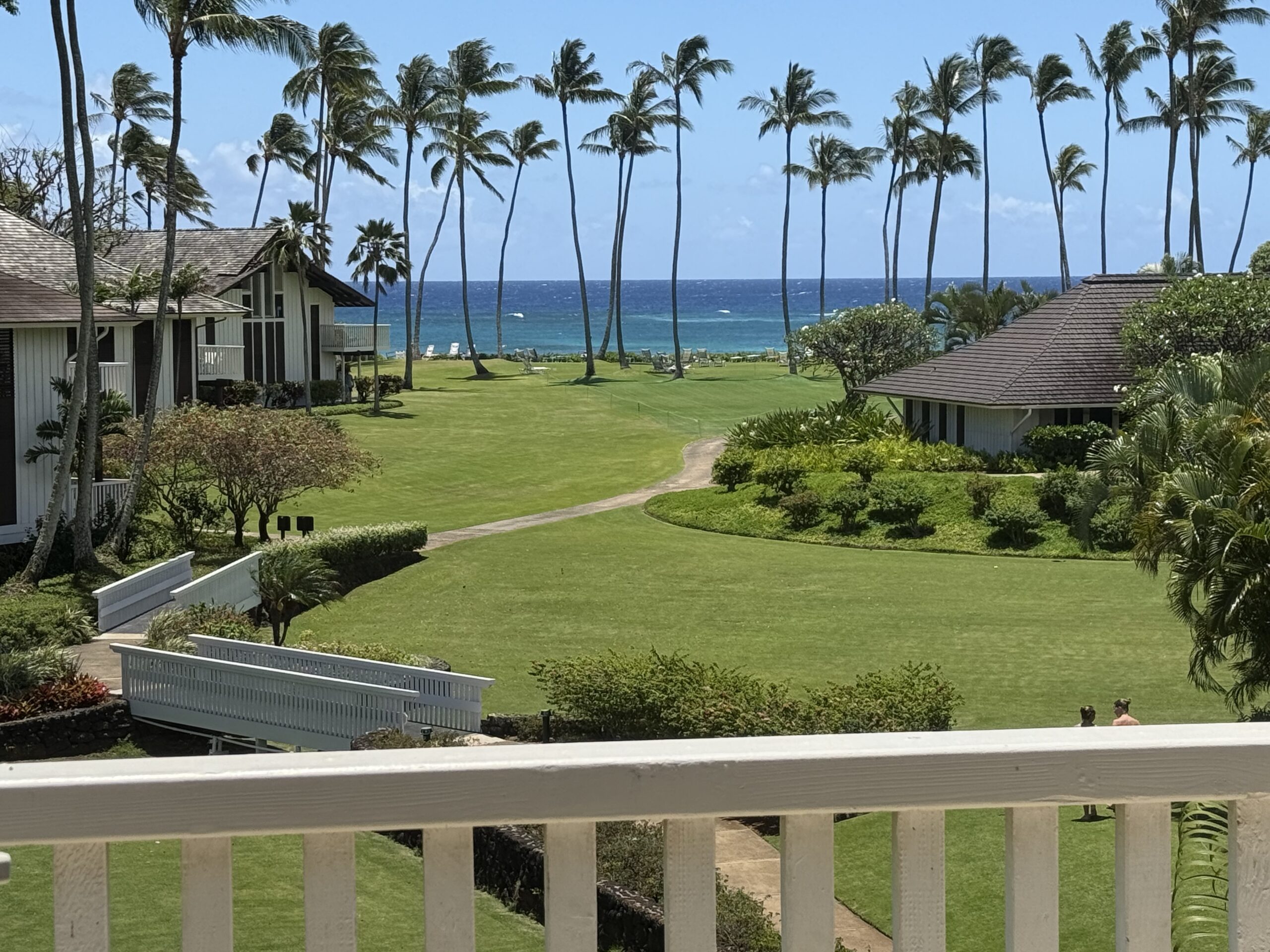 The view from Al's lanai in Hawaii